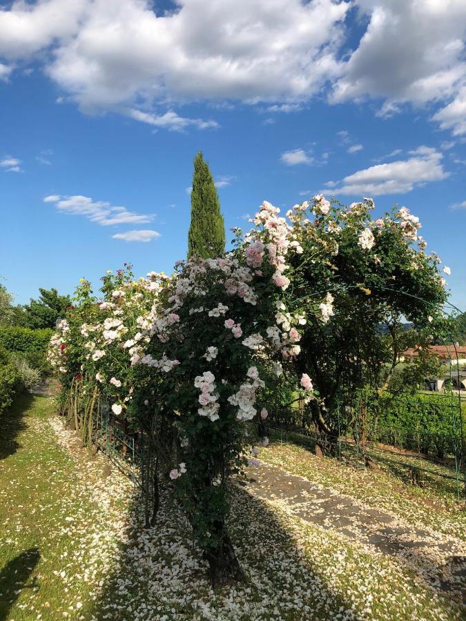 Il Giardino Di Flora Hotel Buti Kültér fotó